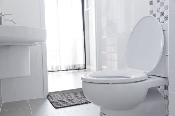 Toilet Seat Installation in Saint George
