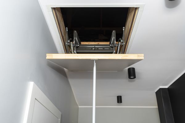 Attic Door Repair in Saint George