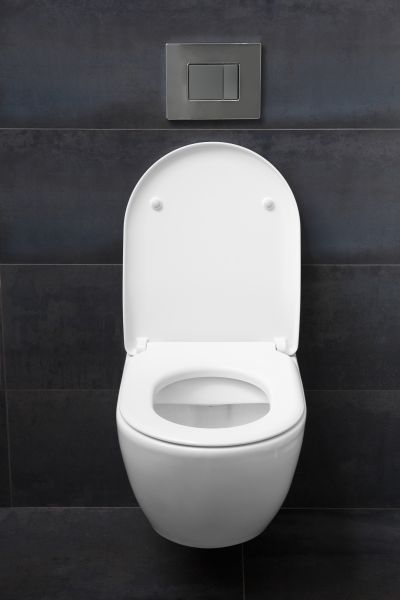 Toilet Lid Installation in Saint George