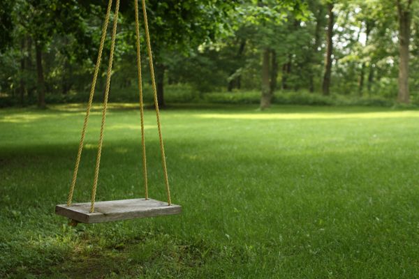 Rope Swing Installation in Saint George