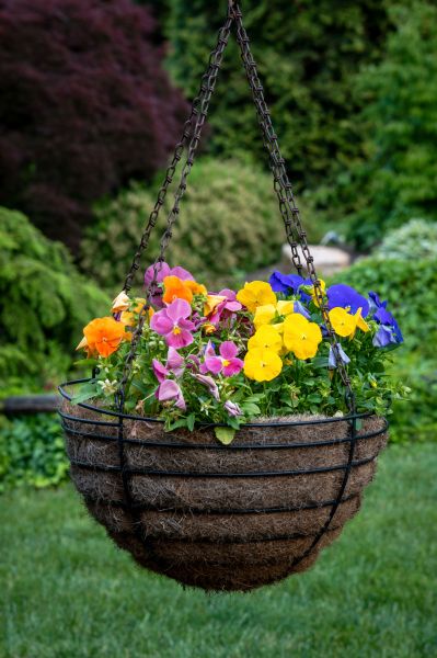 Hanging Basket Installation in Saint George