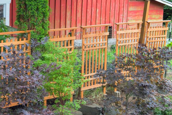 Wood Trellis Mounting in Saint George