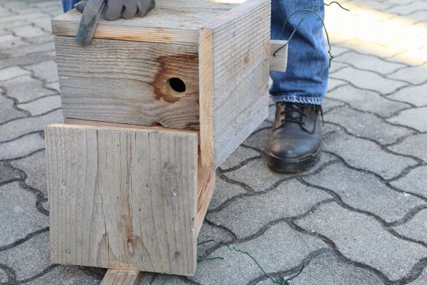 Birdhouse Mounting in Saint George