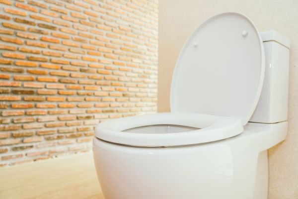 Toilet Seat Repair in Saint George
